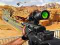 Тоглоом Sniper Combat