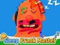 Тоглоом Sleep Prank Master