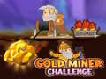 Тоглоом Gold Miner Challenge