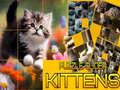 Тоглоом Puzzle Sliding Kittens