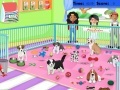 Тоглоом Puppy Pet Care