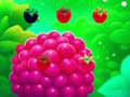 Тоглоом Sweet Raspberry