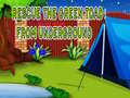 Тоглоом Rescue The Green Toad From Underground
