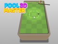 Тоглоом Pool Master 3D