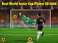 Тоглоом Real World Soccer Cup Flicker 3D 2023
