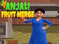 Тоглоом Anjali Fruit Merge