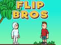 Тоглоом Flip Bros