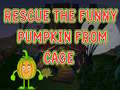 Тоглоом Rescue The Funny Pumpkin From Cage