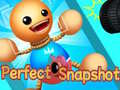 Тоглоом Perfect Snapshot