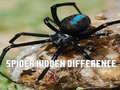 Тоглоом Spider Hidden Difference
