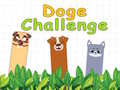 Тоглоом Doge Challenge