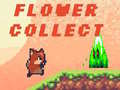 Тоглоом Flower Collect