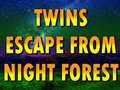 Тоглоом Twins Escape From Night Forest
