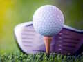 Тоглоом Unblocked Golf Challenge
