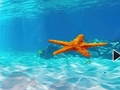Тоглоом Escape From Underwater Starfish