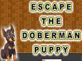 Тоглоом Escape The Doberman Puppy