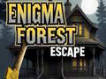 Тоглоом Enigma Forest Escape