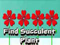 Тоглоом Find Succulent Plant