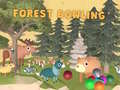 Тоглоом Forest Bowling
