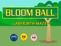 Тоглоом Bloomball Labyrinth Maze 