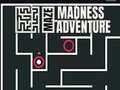 Тоглоом Maze Madness Adventure