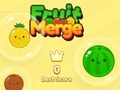 Тоглоом Fruit Merge