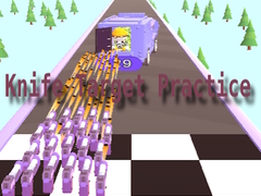 Тоглоом Knife Target Practice