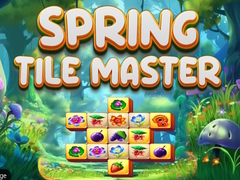 Тоглоом Spring Tile Master