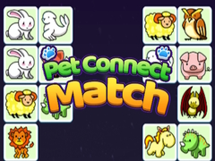 Тоглоом Pet Connect Match
