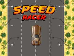 Тоглоом Speed Racer
