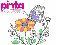 Тоглоом Pinta Colour