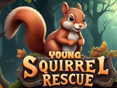 Тоглоом Young Squirrel Rescue