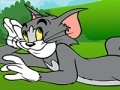Тоглоом Tom and Jerry ATV Adventure