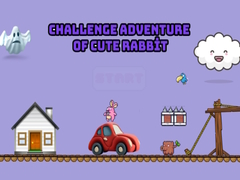 Тоглоом Challenge adventure of cute rabbit