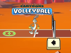 Тоглоом Looney Tunes Cartoons Volleyball