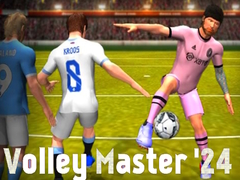 Тоглоом Volley Master '24
