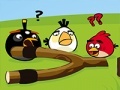 Тоглоом Angry Birds Go Crazy
