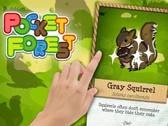 Тоглоом Pocket Forest