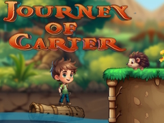 Тоглоом Journey Of Carter