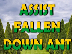 Тоглоом  Assist Fallen Down Ant