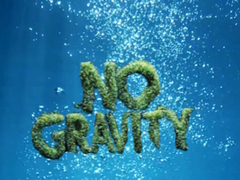 Тоглоом No Gravity