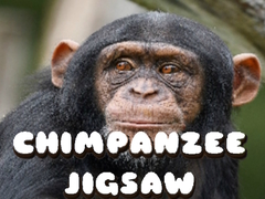 Тоглоом Chimpanzee Jigsaw