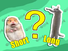 Тоглоом Kids Quiz: Shortest And Longest