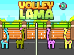 Тоглоом Volley Lama