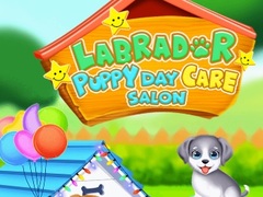 Тоглоом Labrador Puppy Daycare Salon