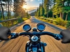 Тоглоом Motorcycle Racer: Road Mayhem