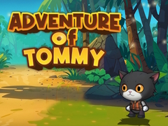 Тоглоом Advanture Of Tommy