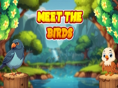 Тоглоом Meet The Birds 