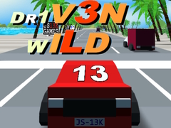 Тоглоом Dr1v3n Wild
