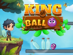 Тоглоом King of Ball